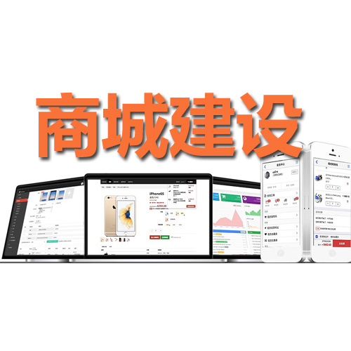 2021年独立网店系统哪个好