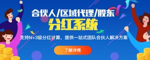 团队合伙人分红系统模式都有哪些好